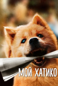 Мой Хатико Мой Хатико