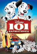 101 ����������